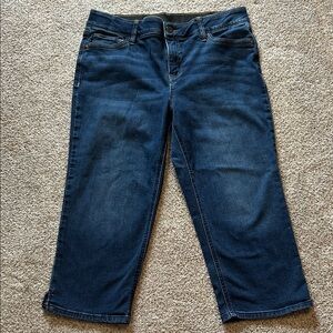 Womens Liz Claiborne Sara Crop Size 10